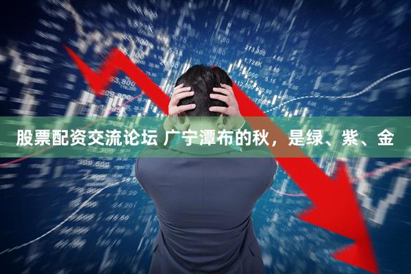 股票配资交流论坛 广宁潭布的秋，是绿、紫、金