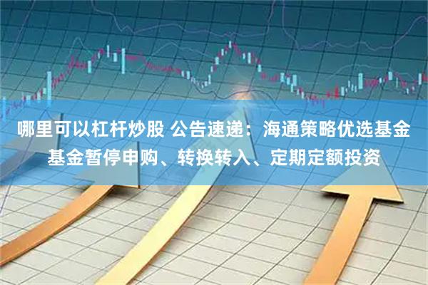 哪里可以杠杆炒股 公告速递：海通策略优选基金基金暂停申购、转换转入、定期定额投资