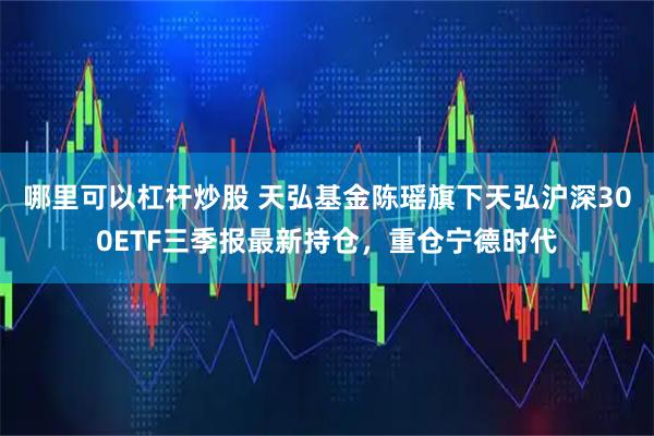 哪里可以杠杆炒股 天弘基金陈瑶旗下天弘沪深300ETF三季报最新持仓，重仓宁德时代
