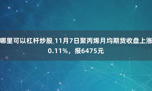 哪里可以杠杆炒股 11月7日聚丙烯月均期货收盘上涨0.11%，报6475元