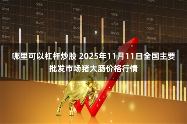哪里可以杠杆炒股 2025年11月11日全国主要批发市场猪大肠价格行情