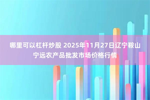 哪里可以杠杆炒股 2025年11月27日辽宁鞍山宁远农产品批发市场价格行情