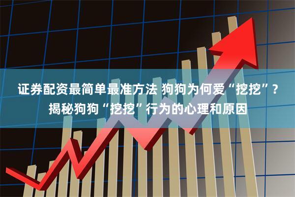证券配资最简单最准方法 狗狗为何爱“挖挖”？揭秘狗狗“挖挖”行为的心理和原因