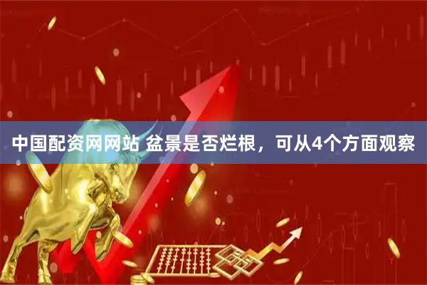 中国配资网网站 盆景是否烂根，可从4个方面观察