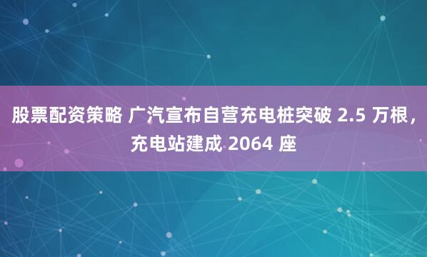 股票配资策略 广汽宣布自营充电桩突破 2.5 万根，充电站建成 2064 座