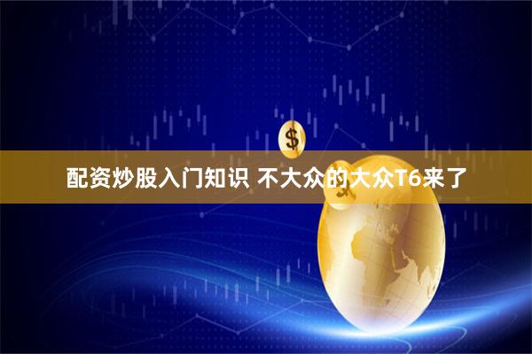配资炒股入门知识 不大众的大众T6来了